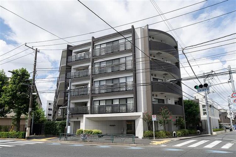 アデニウム西葛西